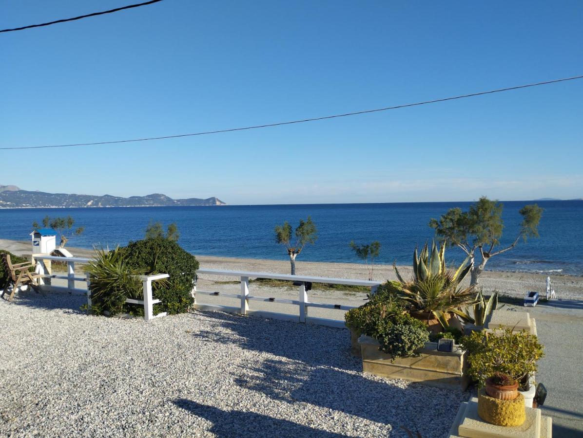 Iliopoulos Apartment Mourteri