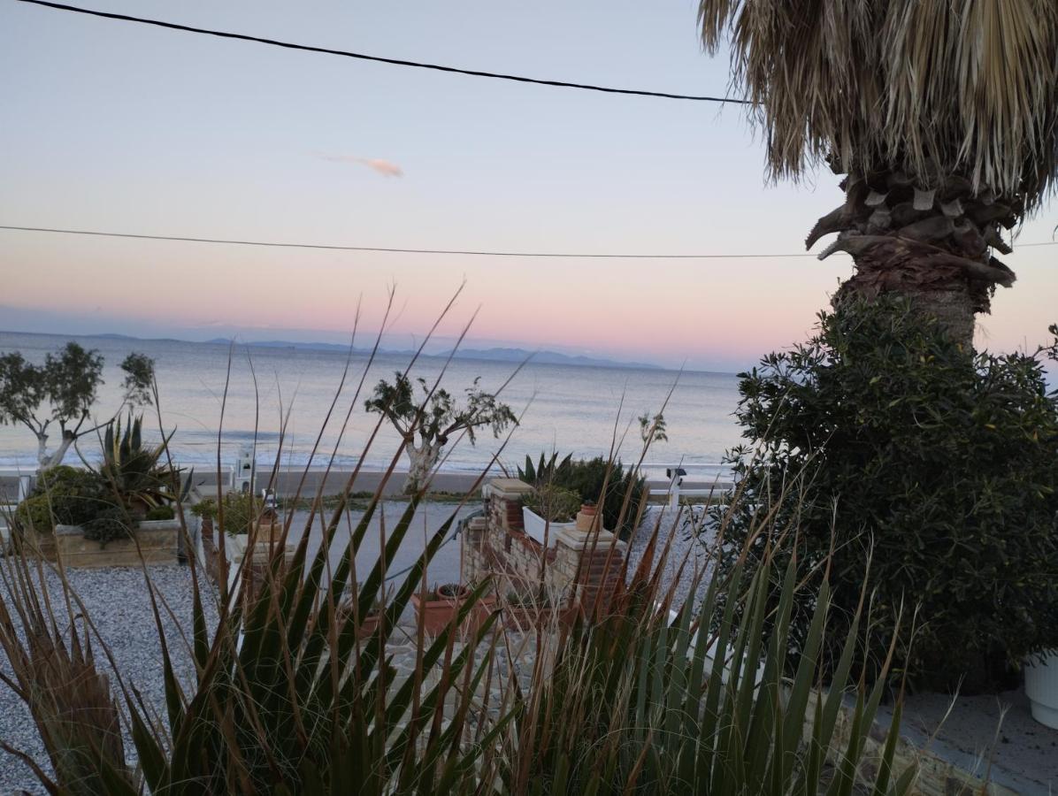 Iliopoulos Appartement