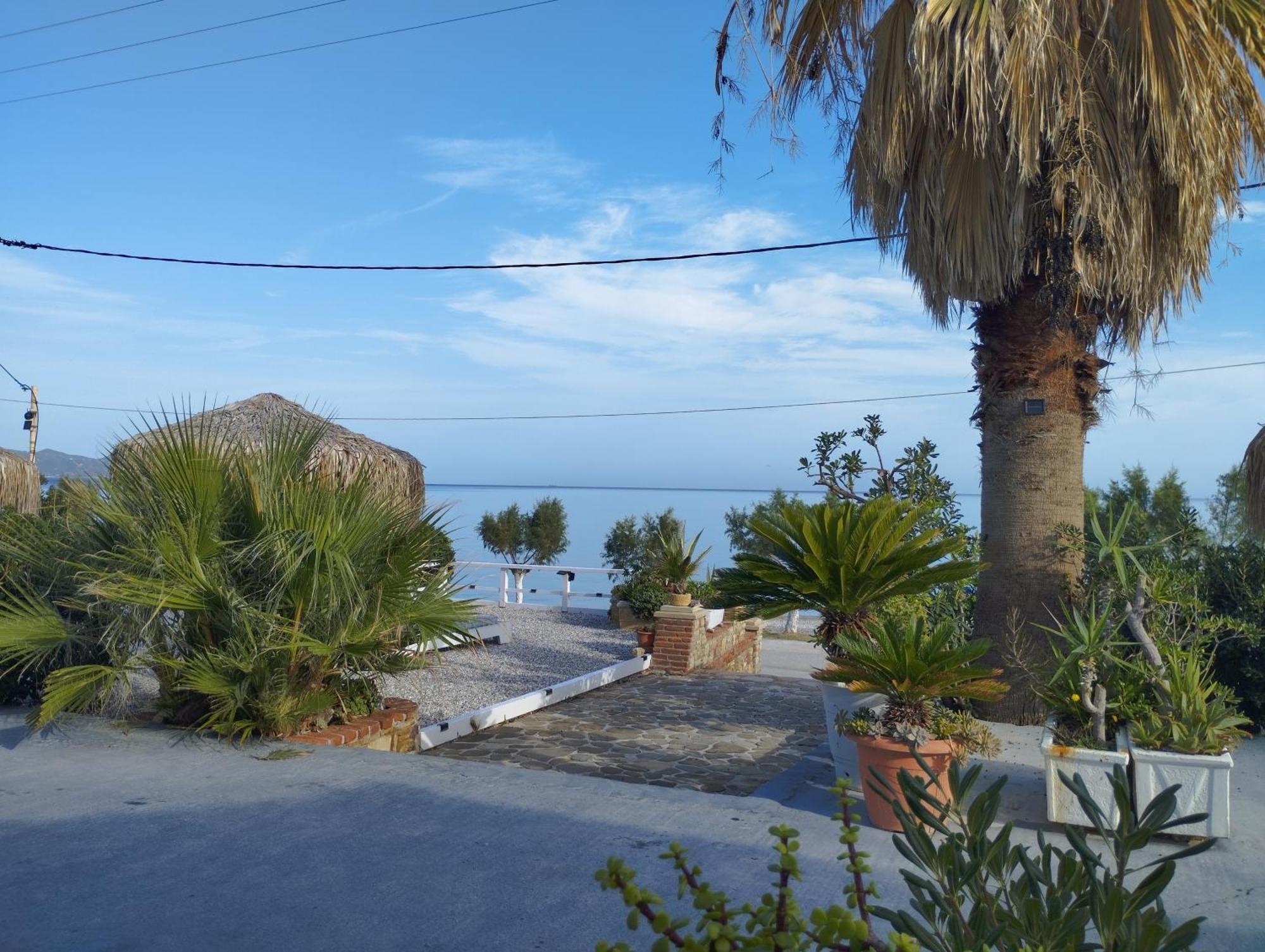 Iliopoulos