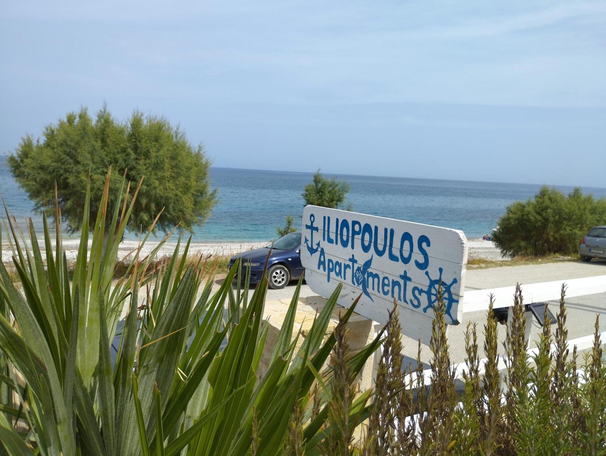 Iliopoulos *