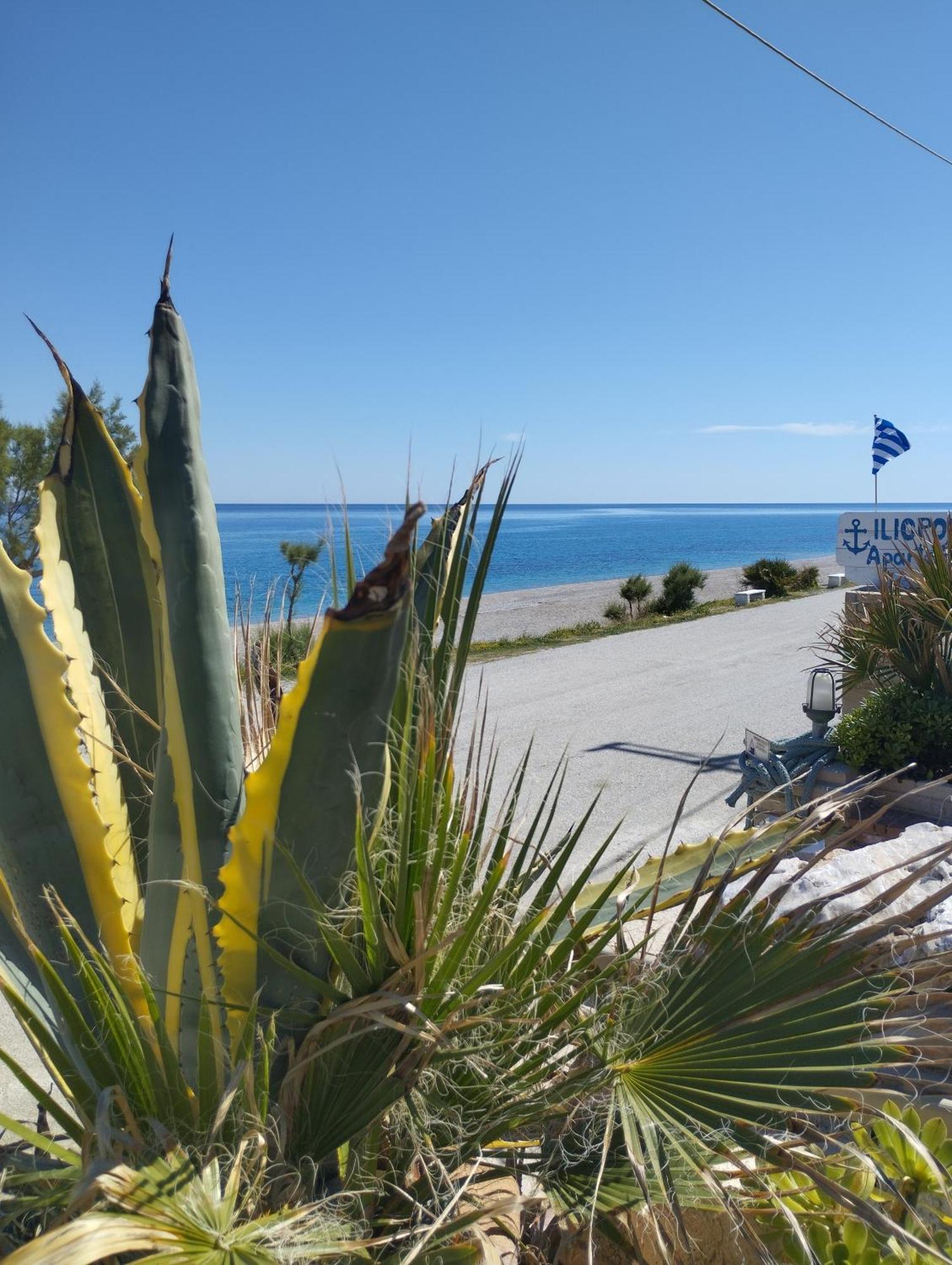 Iliopoulos Appartement