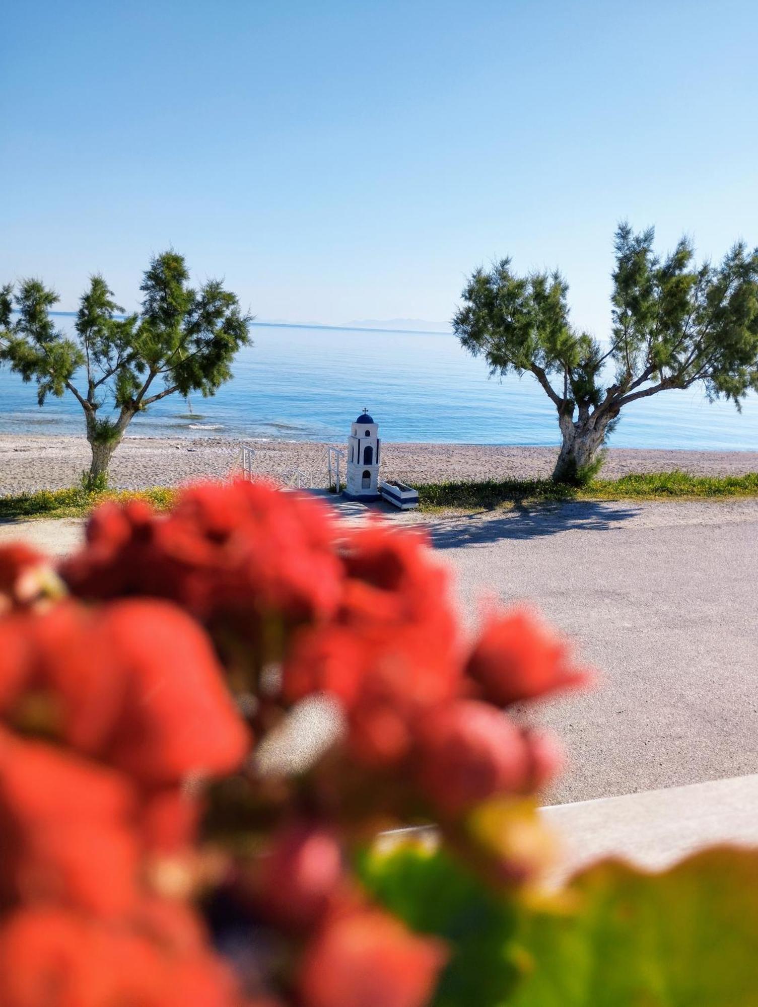 Iliopoulos *